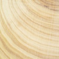 sandalwood2.jpg